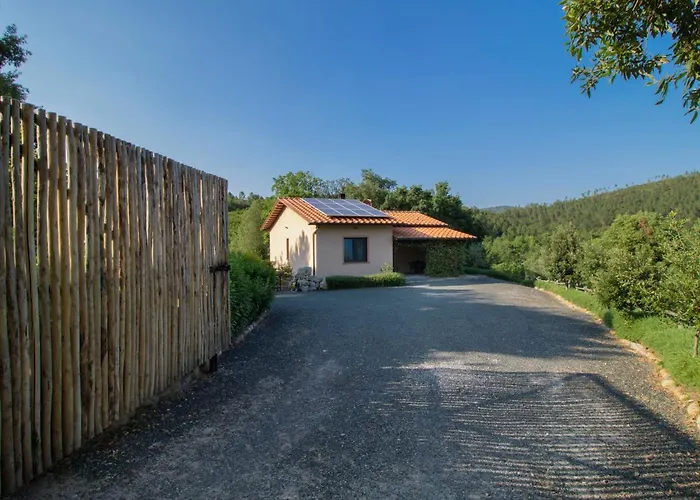 Holiday Home Casa La Selvolina By Interhome